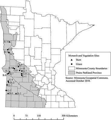 Adult Monarch (Danaus plexippus) Abundance Is Higher in Burned Sites Than in Grazed Sites